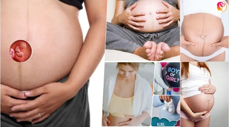 Pregnancy Line Linea Nigra on Stomach