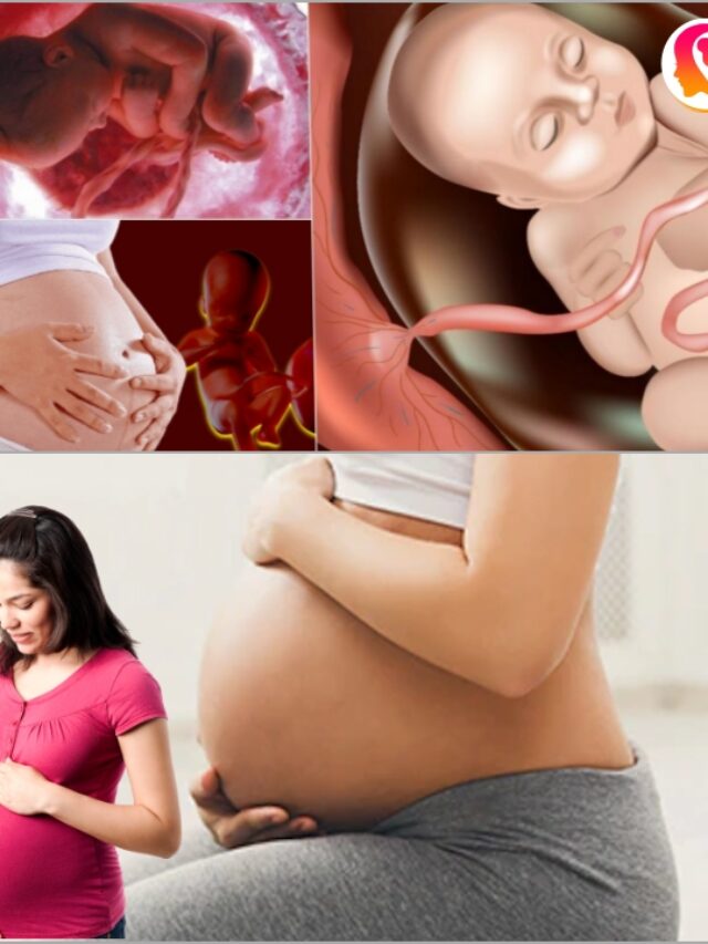 6th Month Of Pregnancy : What Baby Does Inside Womb