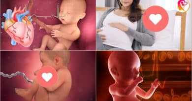 baby first heartbeat in womb