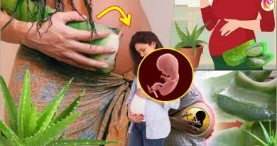 aloe vera during pregnancy