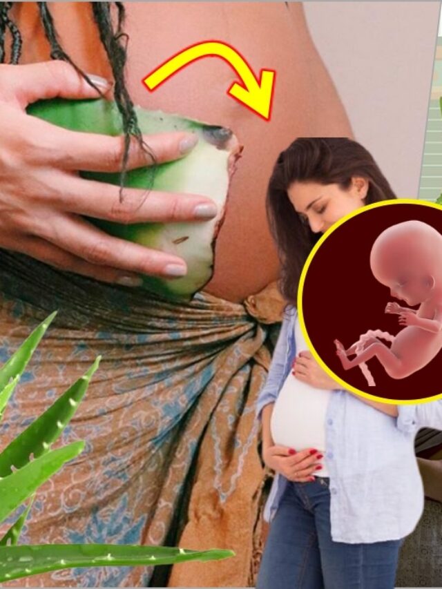 Aloe Vera During Pregnancy