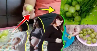 gooseberry during pregnancy
