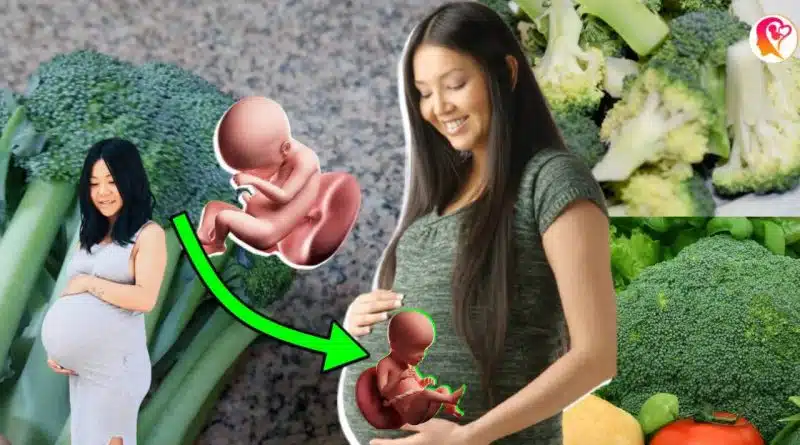 Broccoli in pregnancy