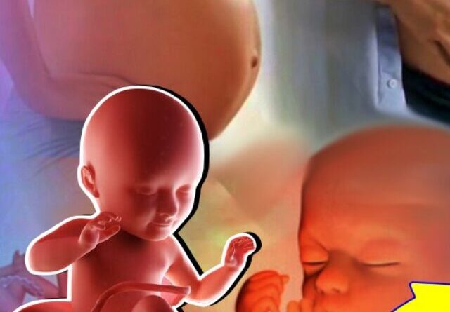 7 month baby in womb