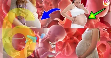 6 month baby in womb