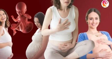 second trimester of pregnancy