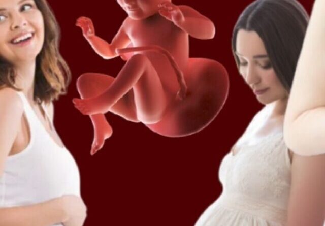 second trimester of pregnancy