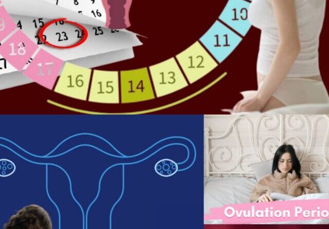 cropped-ovulation-12.jpg