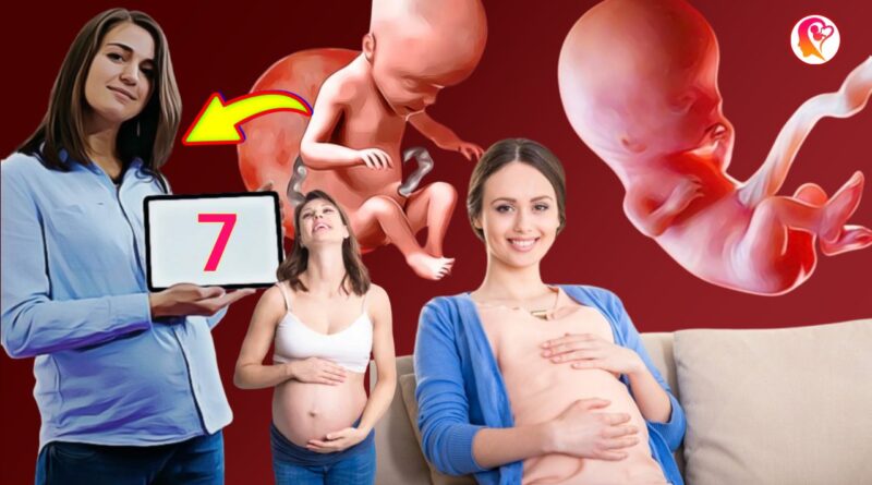 7 month of pregnancy and baby in womb weight