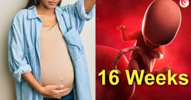 week 16 of pregnancy and baby in womb