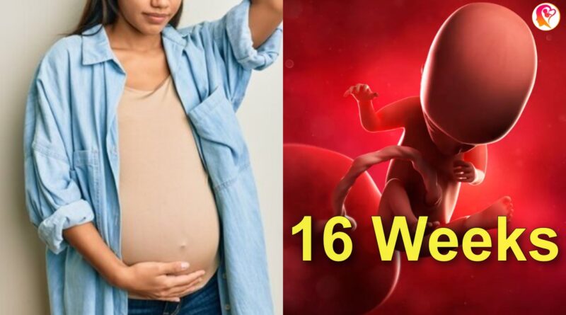 week 16 of pregnancy and baby in womb