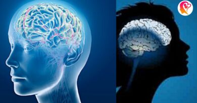 brain rules to boost brain power