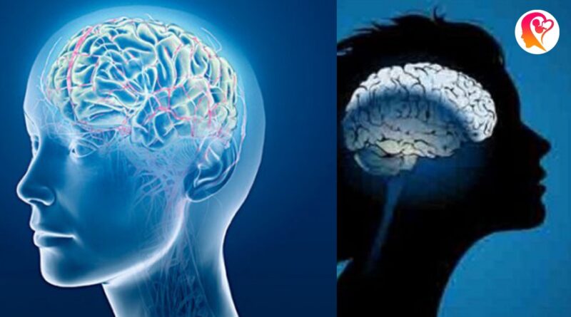 brain rules to boost brain power