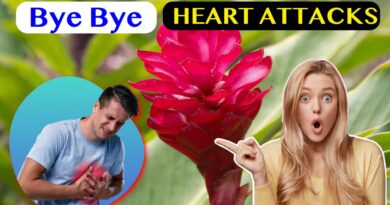 ginger for heart benefits