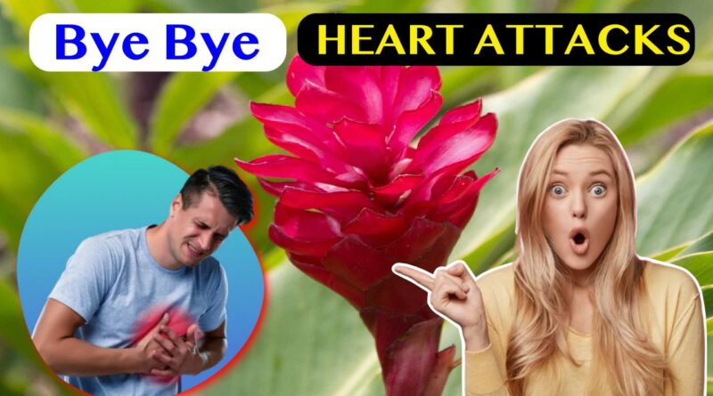 ginger for heart benefits