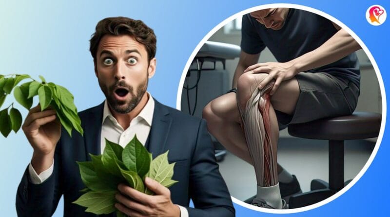 knee pain herbal remedy barley moringa betel