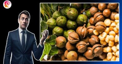 cancer fighting seeds